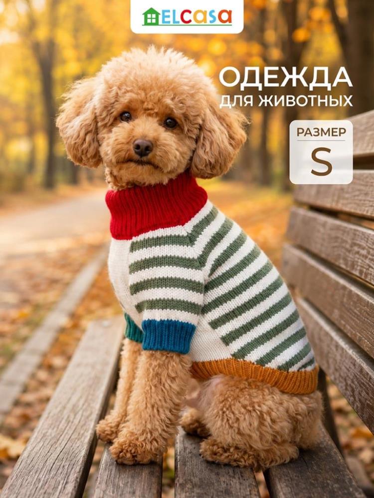 Одежда для животных-свитер S, молочно-зеленый