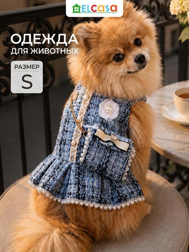 Одежда для животных-платье S, голубой. клетка