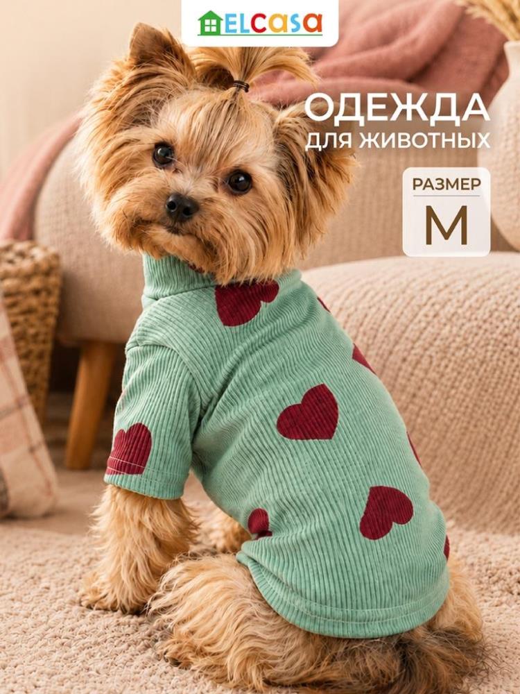 Одежда для животных-водолазка M, зеленый
