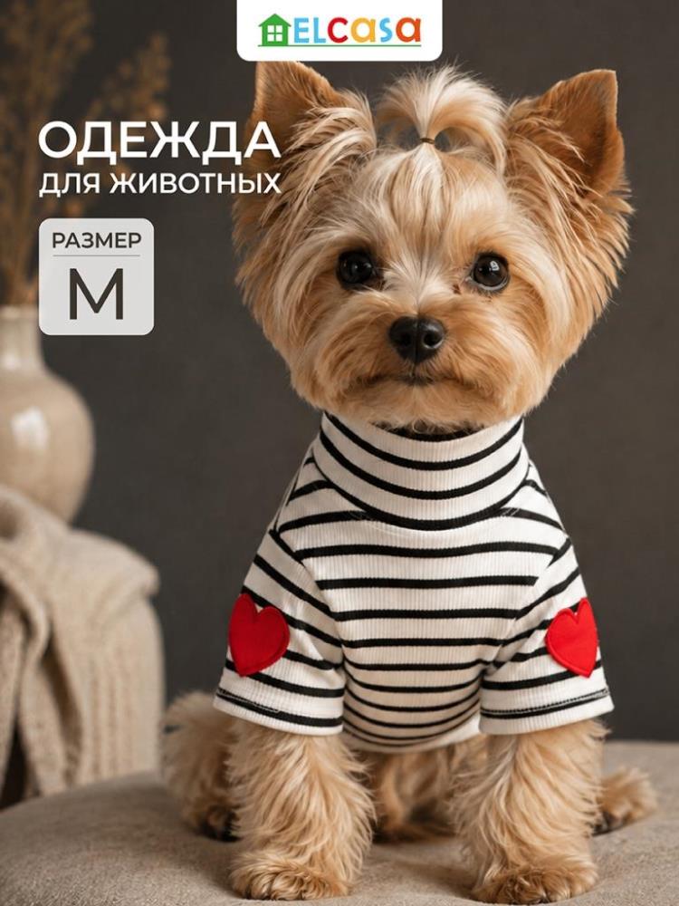 Одежда для животных-водолазка M, черный