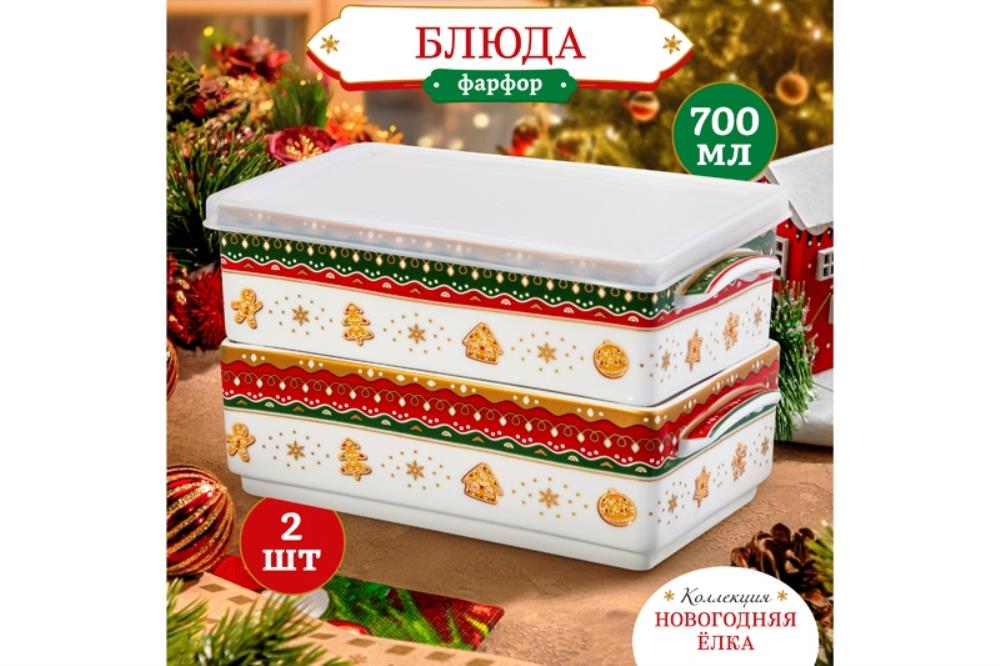 Набор 2 блюд д/холодца 700 мл 19*12*11,5 см Набор 2 блюд д/холодца 700 мл 19*12*11,5 см