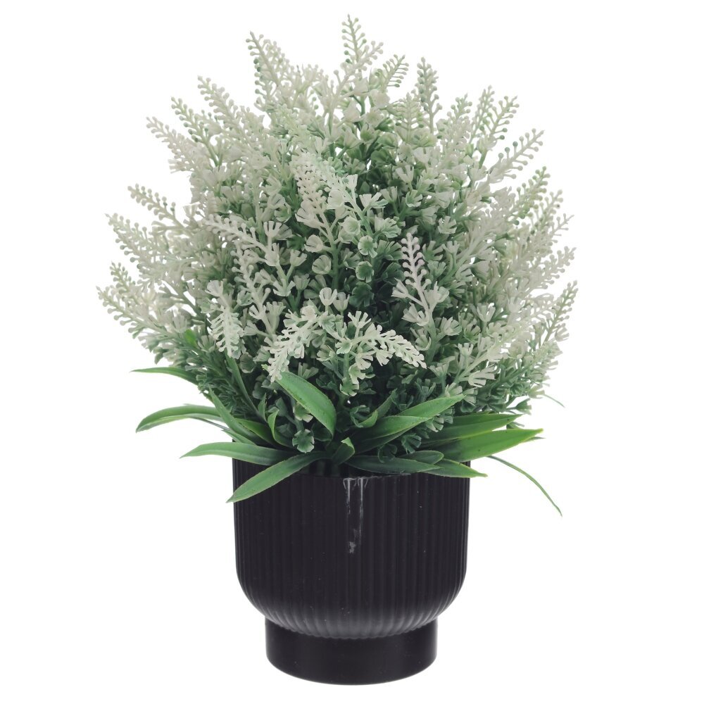 Цветочная композиция, L20 W20 H25 см Цветочная композиция, L20 W20 H25 см