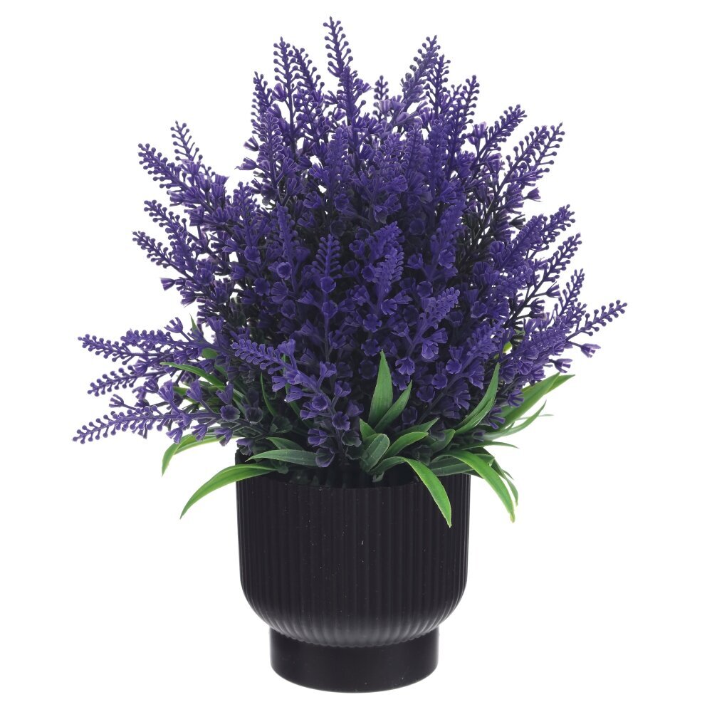 Цветочная композиция, L20 W20 H25 см Цветочная композиция, L20 W20 H25 см