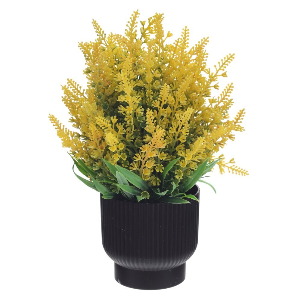 Цветочная композиция, L20 W20 H25 см Цветочная композиция, L20 W20 H25 см