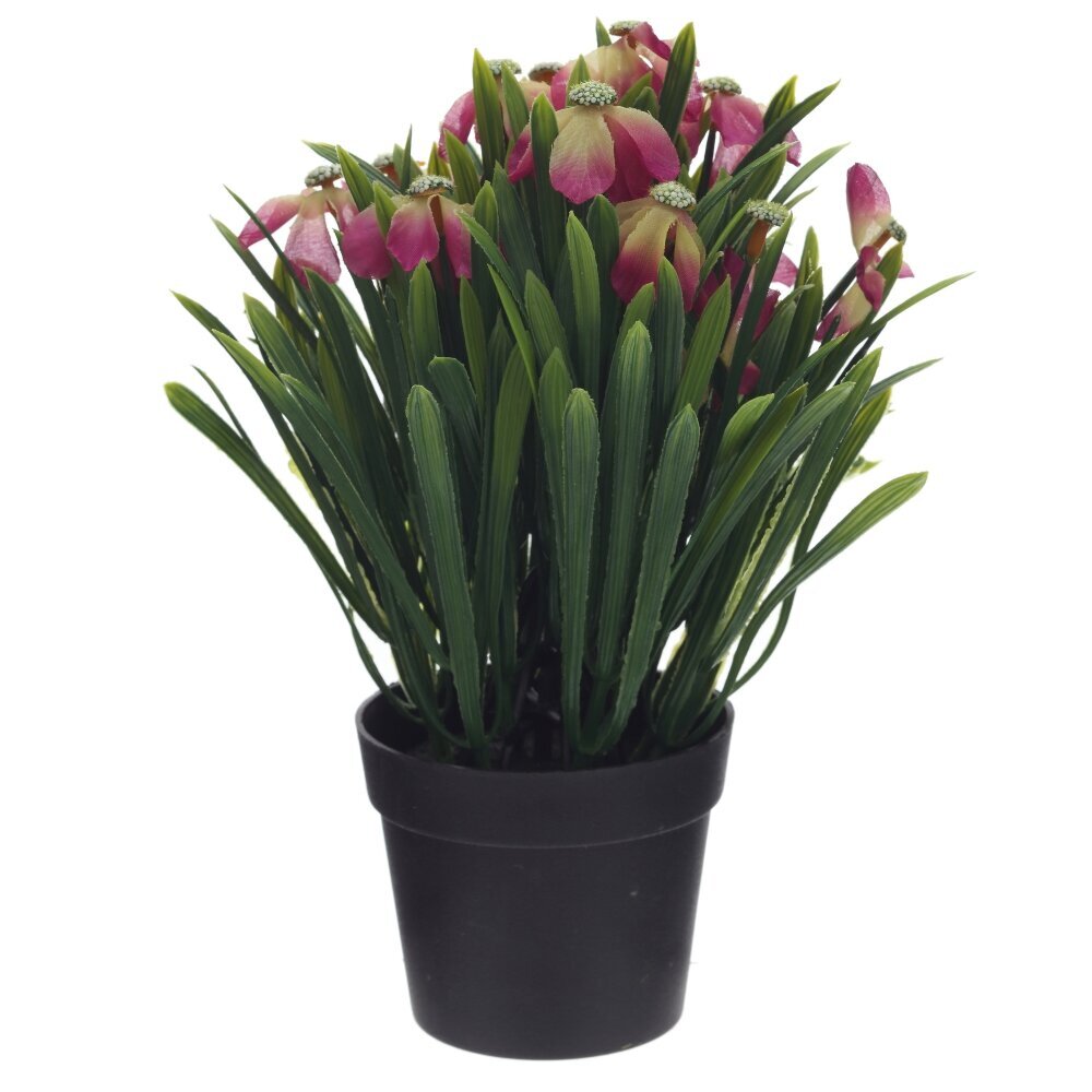 Цветочная композиция, L18 W18 H26 см Цветочная композиция, L18 W18 H26 см